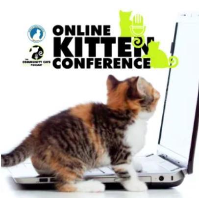 Online Kitten Conference